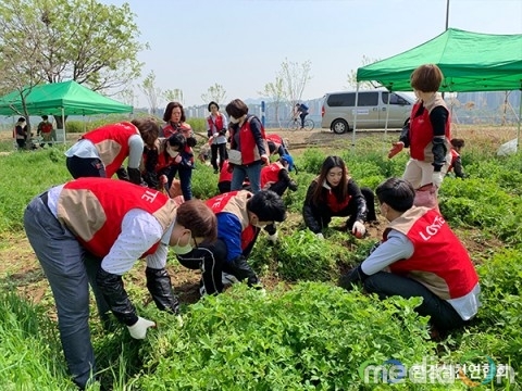 환경실천연합회, 한강공원 생태계 보호활동 활발