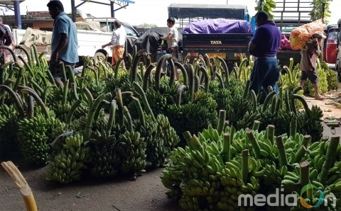 플래닛스리랑카투어, 플랜B 창업 답사 여행 출시