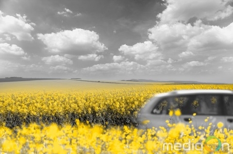 허츠 해외 렌터카, 봄맞이 다양한 요금 할인 프로모션 진행