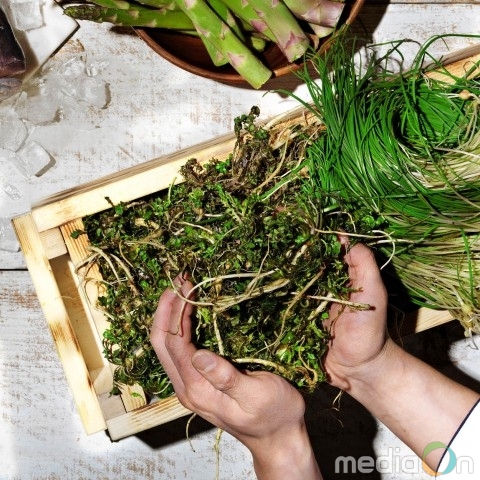 서울드래곤시티, 봄나물과 다채로운 요리의 컬래버레이션을 선보이는 ‘3월 봄 프로모션’ 진행